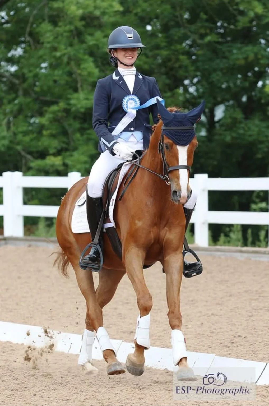 Fine Equestrian dressage rider with competition rosette