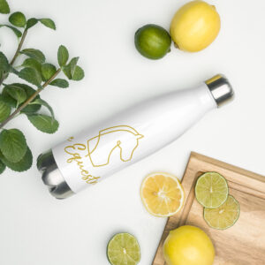 stainless steel water bottle